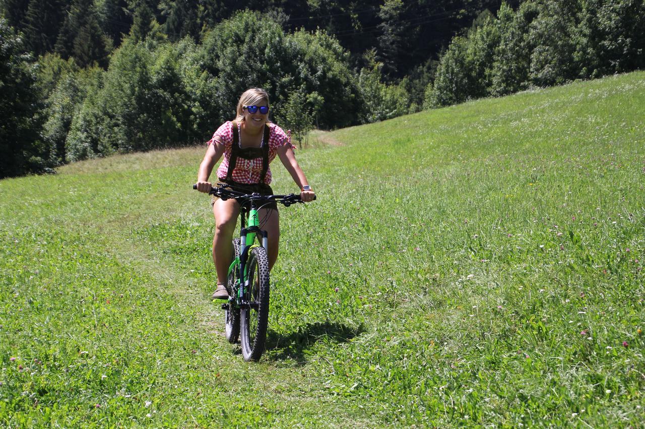 Due Spade Folgaria